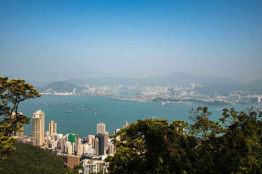 View of the Victoria Harbour skyline with skyscrapers, cargo ships, and lush trees in the foreground, Hong Kong, Hong Kong.