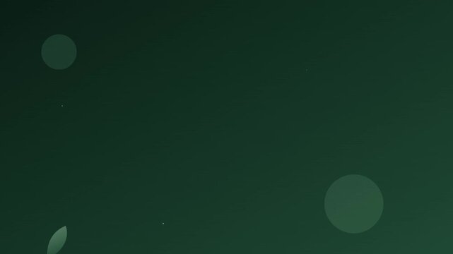 organic eco green nature vector leaf animation