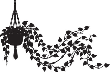Black silhouette of hanging plant in macrame planter with long vines © Picture Paradise
