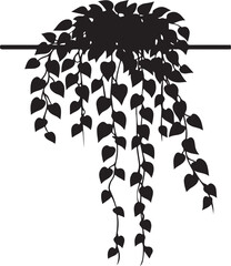 Black Silhouette of Hanging Pothos Plant Isolated on White Background © Picture Paradise