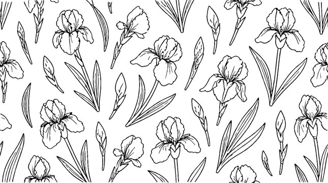 Elegant iris flower line art illustration collection.