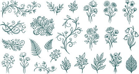 A detailed collection of hand drawn botanical elements featuring various floral arrangements, leaves, ferns, and decorative flourishes on a clean white background surface © SyedmdAli