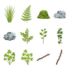 Fototapeta premium Forest and garden botanical plant element set