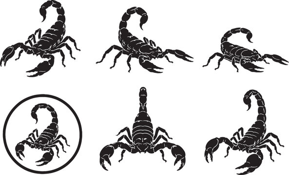 Emperor Scorpion Silhouette Icon Set Arachnid Wildlife Vector Collection