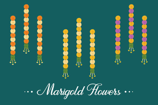 Marigold Flower Garland And Mango Leaves Hanging On Auspicious Traditional Hindu Festival. Vector Illustration for Festive Elements
