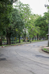 Naklejka premium Tree-lined road with a cyclist and speed bumps in a park setting