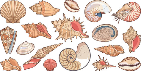 Fototapeta premium Sea Shell and Marine Life Vector Icon Set with Nautilus Scallop Conch and Cowrie Shells for Beach Coastal Decor and Summer Graphic Designs