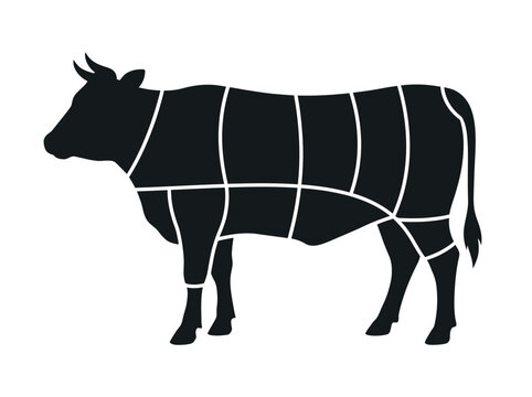 Butcher beef cuts diagram cow silhouette illustration