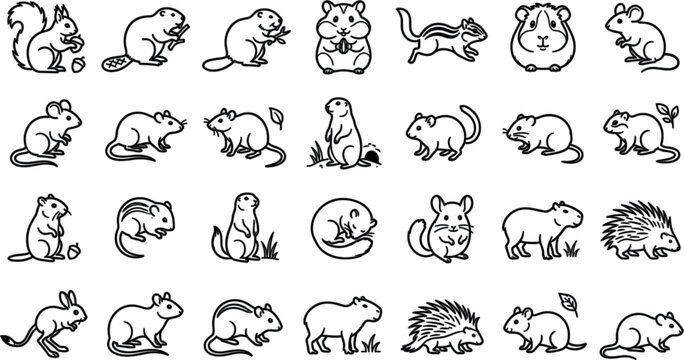 Rodent and Small Mammal Line Icon Set with Squirrel Beaver Hamster Chipmunk Mouse Rat Capybara Chinchilla and Porcupine Symbols for Wildlife Nature DesignsRodent and Small Mammal Line Icon Set with Sq