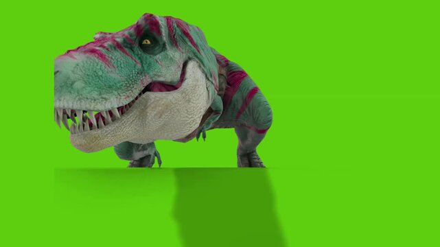 Dinosaur on a green background