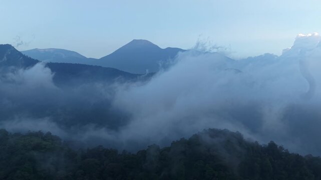 Aerial view of dense forest blanketed in thick mist, with towering evergreen trees partially obscured by fog. Mist creates mysterious atmosphere, while distant mountains barely emerge through haze.