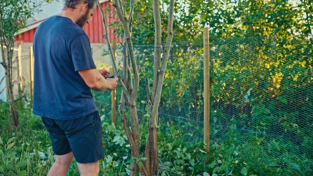 Man Is Cutting Net Mesh, Making A Rustic Garden Fence. Static Shot