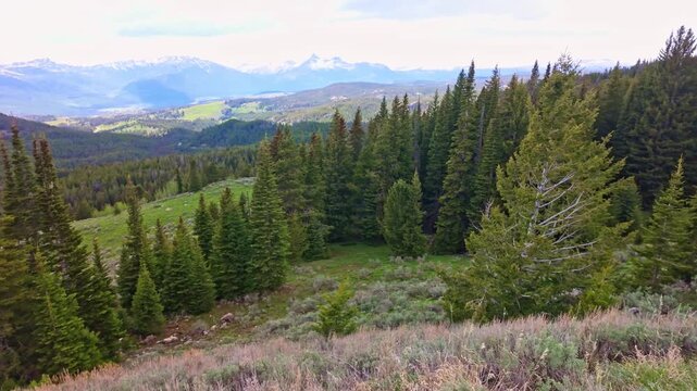 Panoramic view of Yellowstone Overlook from Beartooth Highway overlooking rugged mountains and expansive valleys