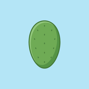 A simple vector illustration of a green cactus pad