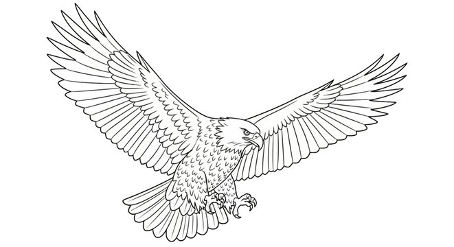 Eagle flying in the air.