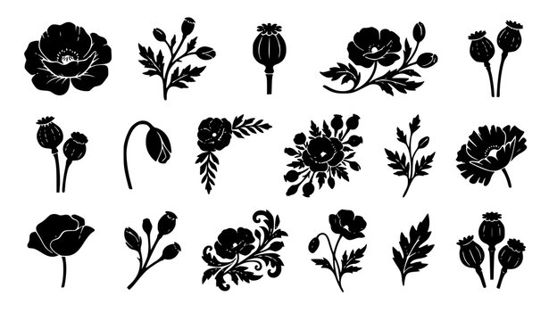 Botanical Poppy Flower Black Icons Floral Design Elements Vector Set