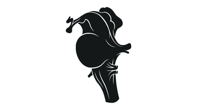 Anatomical silhouette of human brainstem and cerebellum structure.