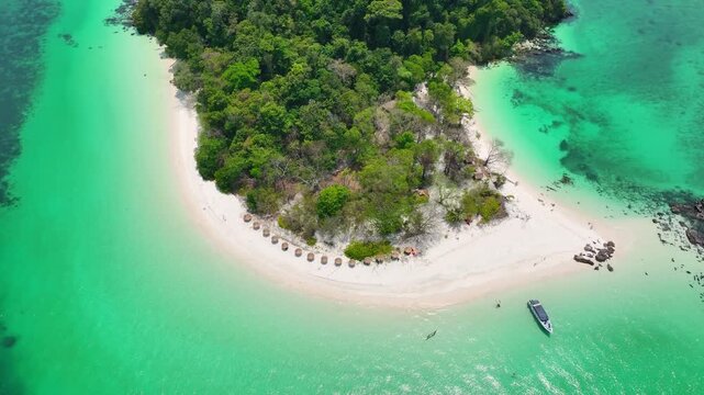 
Aerial view of a dense, vibrant green coastal jungle meeting dark blue ocean water. A thin, rocky beach and white foamy waves separate the rugged terrain from the sea.concept