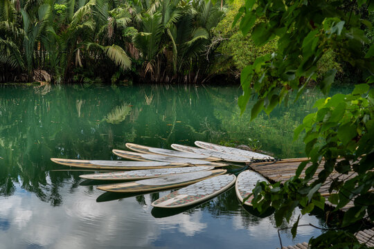 Stand Up Paddleboards on Loboc River