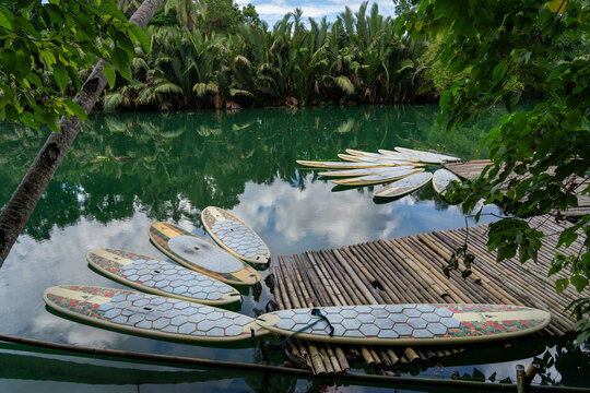 Docked Stand Up Paddleboards on Loboc River
