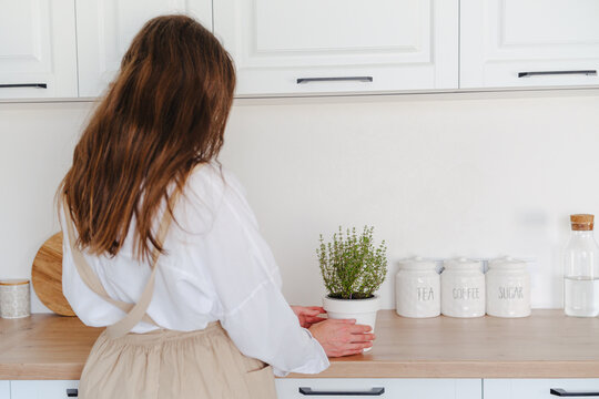 Woman tending homegrown organic thyme plant in bright white kitchen