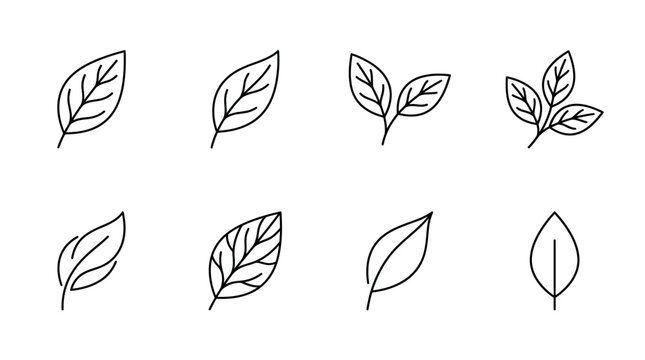Collection of Various Leaf Shapes.