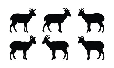 Obraz premium Six black silhouettes of mountain goats standing against a white background.