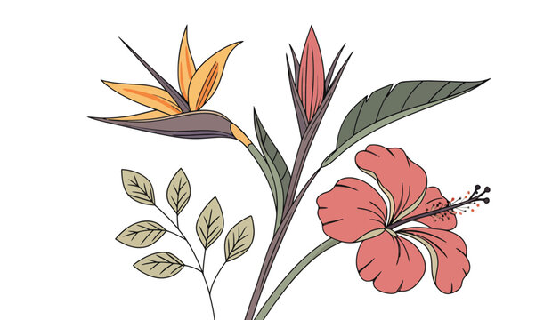 Tropical exotic flowers botanical illustration with tropical