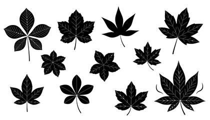 Fototapeta premium Autumn leaves silhouette set nature botany vector