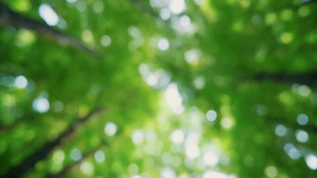 Blurred Green Leaves and Sunlight Bokeh 4K Generative AI