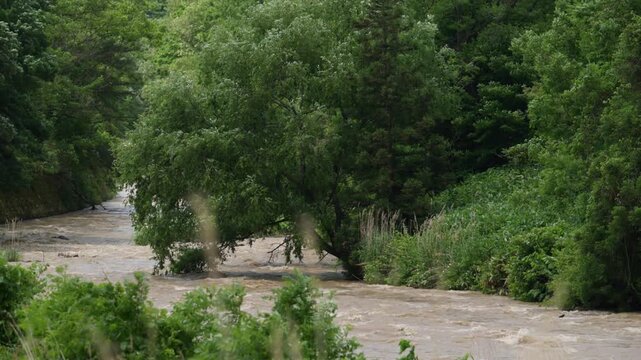 大雨の翌日、増水して濁流となった川