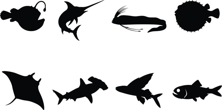 Marine Fish Silhouettes Collection Featuring Anglerfish Swordfish Ray and Ocean Species
