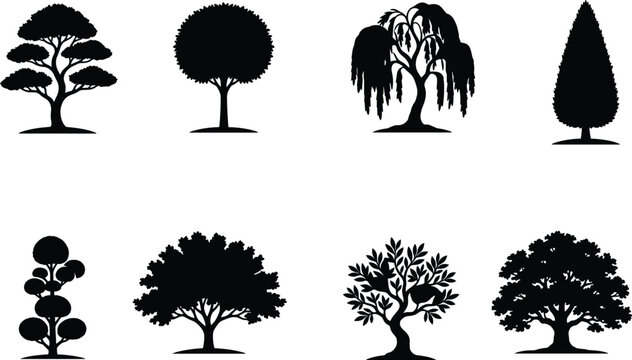 Tree Silhouette Vector Collection Featuring Ornamental Deciduous Evergreen and Weeping Trees for Landscape Nature Design Projects