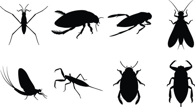 Water insects silhouettes set including pond skater mayfly diving beetle and water scorpion isolated on white background
