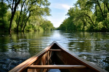 Naklejka premium Canoeing down a tranquil river through lush green forest