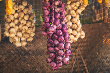 harvest of onions and garlic is dried on the farm in autumn © alexkoral