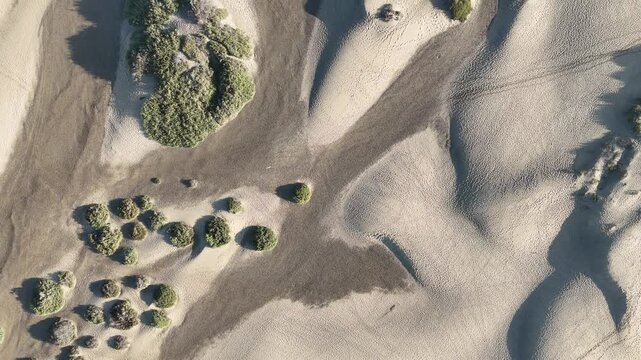 Top down flight over Maspalomas Dunes with footprints in Playa del Ingles on Canary Island Gran Canaria, Spain