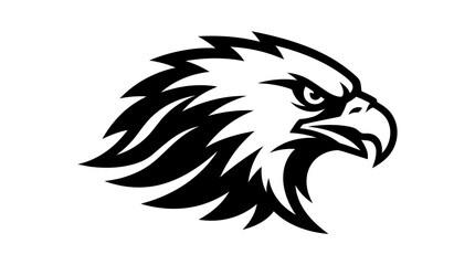 Fototapeta premium Black and white eagle head logo.