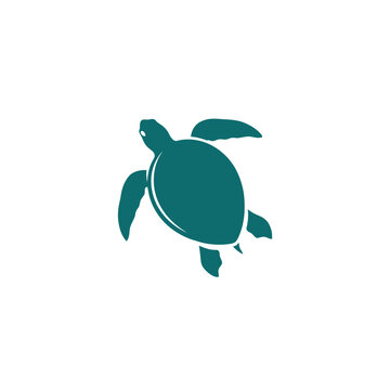 Minimalist teal sea turtle illustration simple design for logos and graphics