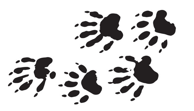 Wild animal paw prints clipart set vector illustration, hand drawn black ink linocut style bear, wolf, and big cat claw tracks isolated on white background.