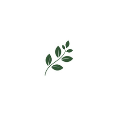 Simple green leaf branch illustration on a clean white background design © MDMINTU