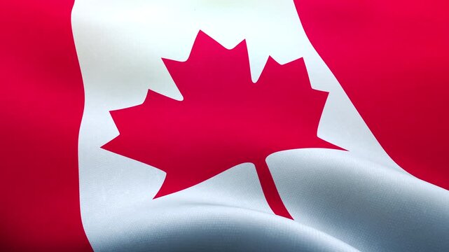 カナダ、風にはためく国旗、シームレスなループ素材　