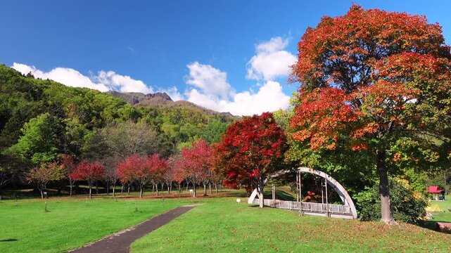 山部自然公園の紅葉と夕張山地（左）
