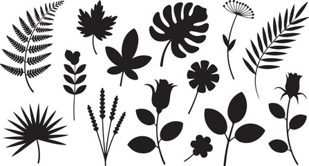 Naklejka premium Set of isolated black silhouette leaf flat icons in various shapes on transparent background.