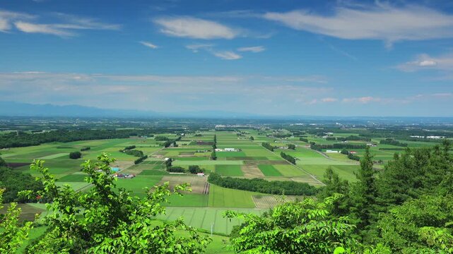 十勝平野