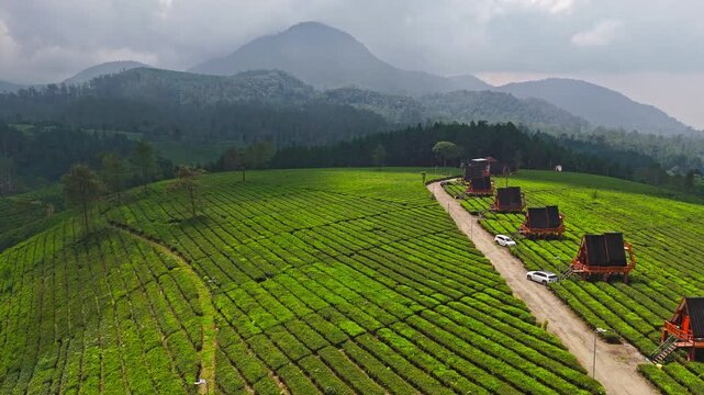 Cinematic drone footage of vast tea gardens across rolling hills in Pengalengan, West Java, Indonesia. Perfect for travel, nature, and agrotourism content.