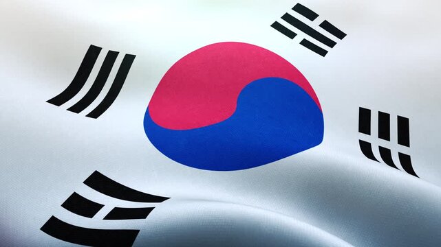 韓国、風にはためく国旗、シームレスなループ素材　