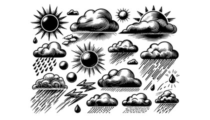 Obraz premium sea shells vector illustration