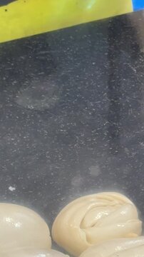 Vertical footage of a street vendor hand kneading stretching squeezing and rearranging multiple round roti dough portions on a preparation counter
