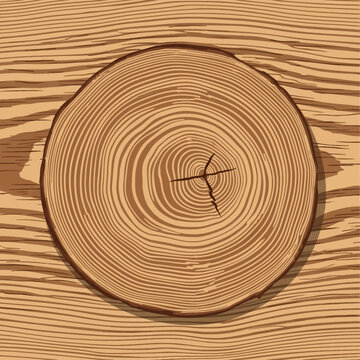 Vector illustration of a circular pine wood tree trunk slice with visible concentric growth rings and central bark crack, resting on a flat longitudinal wood grain background.